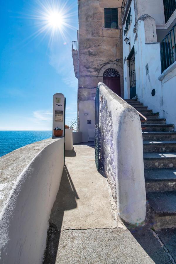 Il Nido Del Gabbiano Apartment มินอริ ภายนอก รูปภาพ